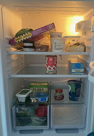 MailOnline reporter Chris Matthews showed the AI bot a photo of his fridge and cupboard