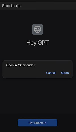 You'll need to press Get Shortcut, then Open in Shortcuts