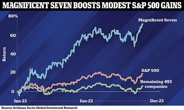 As its market share has grown, the Magnificent Seven has come to represent a gigantic 33 percent of the S&P 500 index. The 493 other, non-Magnificent Seven, companies in the S&P 500  were only up around 12 percent